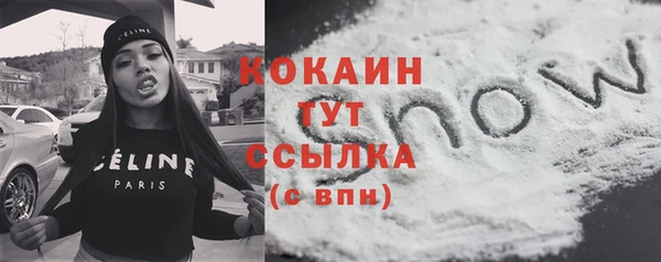 прущий лед Алзамай