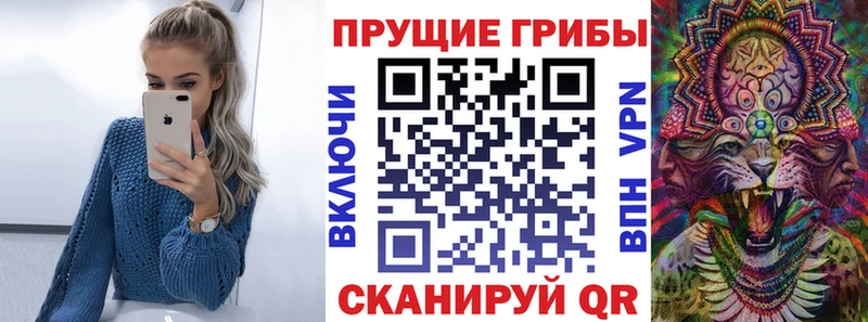 Псилоцибиновые грибы прущие грибы  Богучар 